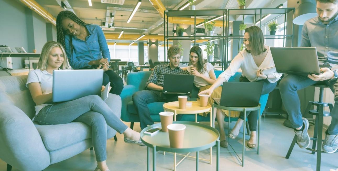 Formazione professionale SEO tecnica